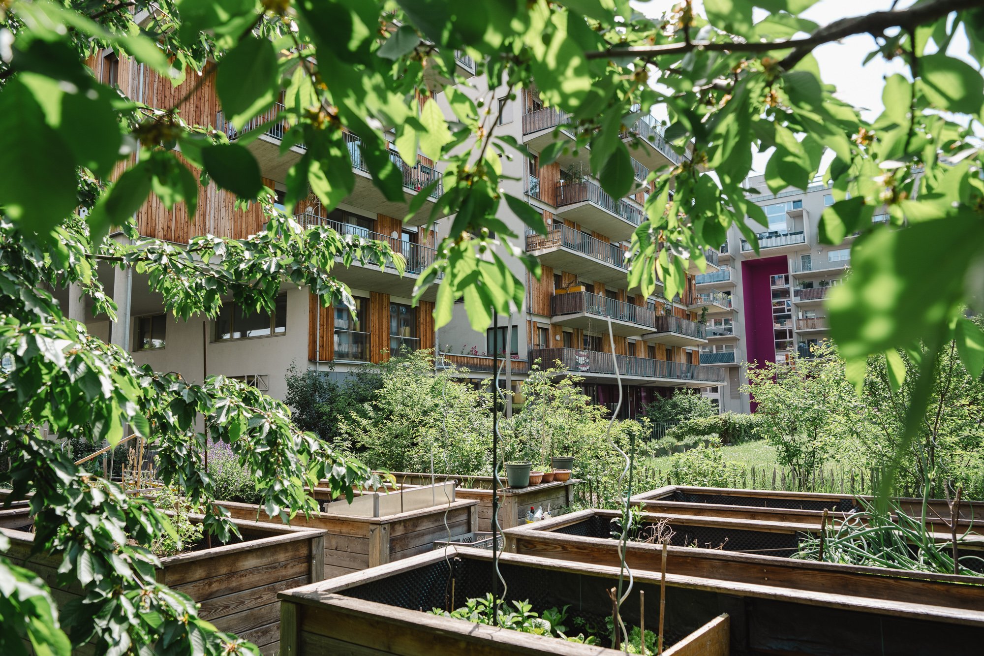 unser-haus-wohnprojekt-wien